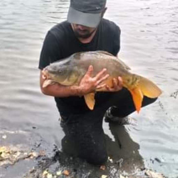 Perfil de Luc-olivier