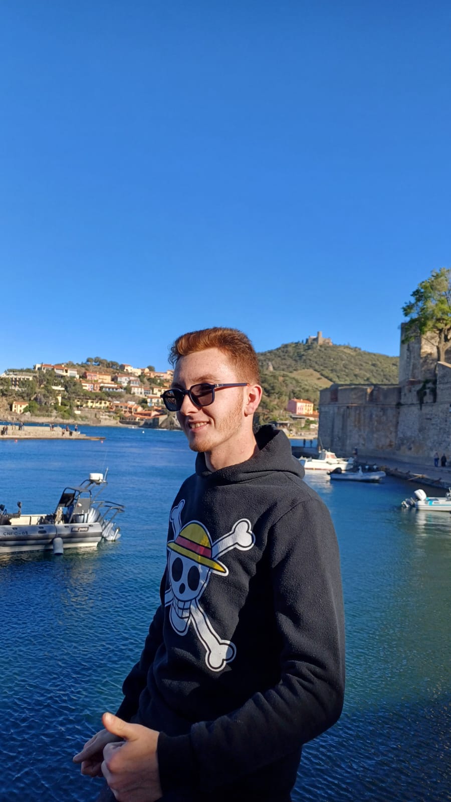 Perfil de Paul-mathieu